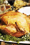 Thanksgiving turkey