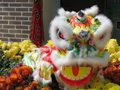 Chinese dragon for Chinese New Year