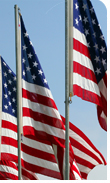 American flags