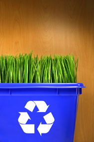 Green Grass Recycle Bin