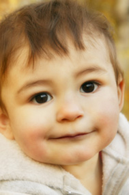 Your Toddler and Preschooler