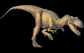 Allosaurus