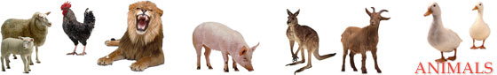 Click here for Animals clip art