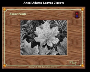Ansel Adams leaves jigsaw