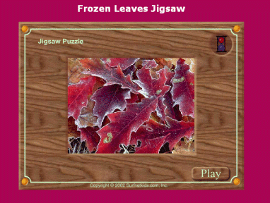 Frozen Leaves Jigsaw
