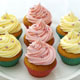 Birthday Cakes Galore!