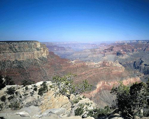Canyon Vista