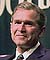 Bush