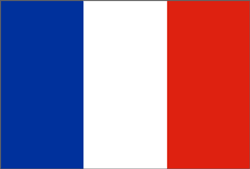 flag of Martinique