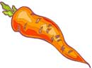 carrot