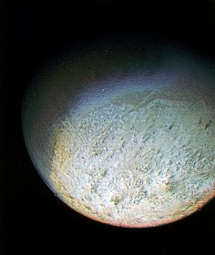 Triton