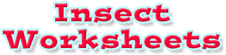 Worksheet Title