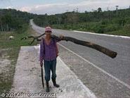 A Guatemalan man walks down the road with a piece of firewood. 