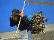 An elderly Maya woman carries a load of firewood.