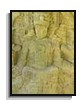 This is an altar from the site of Quiriguá, showing the ruler inside the mouth of a mythical beast. The ancient Maya rulers claimed supreme power and demanded tribute from their people.