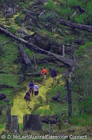 The team hikes through cleared land in the Cuchamatanes Mountains in Guatemala.