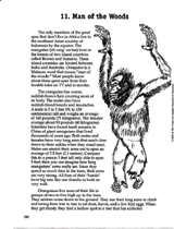 Orangutan Reading Passage