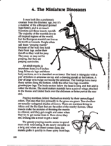 Praying Mantis Reading Passage