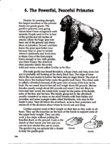 Gorilla Reading Passage