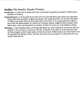 Gorilla Reading Comprehension Answers