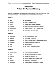 Animal Development Matching