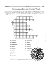 Buscalabras: Find the Mystery Word!
