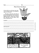 Plants Grown from Roots