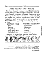 Fun with Insects