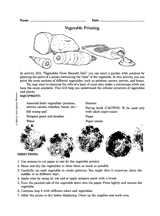 Vegetable Printing
