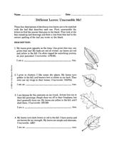 Different Leaves: Unscramble Me!