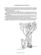 Examining the Trees in the Winter