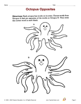Octopus Opposites