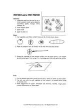 Vegetable/Fruit Printing