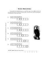 Secret Bird Jumble