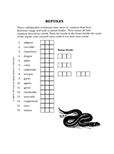 Reptiles