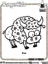 RangerKidz Buffalo Bruce Coloring Page