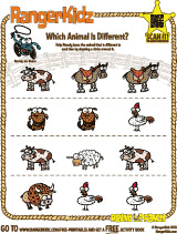 RangerKidz Which Animal is Different?