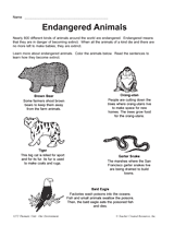 Endangered Animals Clipart