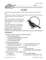 Reading Warm-Up 3 for Gr. 1 & 2: Animals