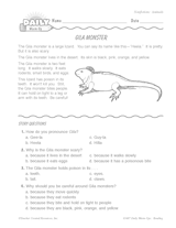 Reading Warm-Up 7 for Gr. 1 & 2: Animals