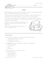 Reading Warm-Up 13 for Gr. 1 & 2: Animals