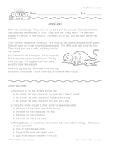 Reading Warm-Up 14 for Gr. 1 & 2: Animals