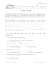 Reading Warm-Up 13 for Gr. 3 & 4: Animals