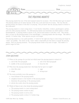 Reading Warm-Up 14 for Gr. 3 & 4: Animals