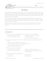 Reading Warm-Up 15 for Gr. 3 & 4: Animals