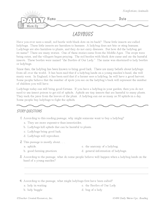 Reading Warm-Up 9 for Gr. 3 & 4: Animals