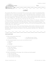 Reading Warm-Up 3 for Gr. 5 & 6: Animals
