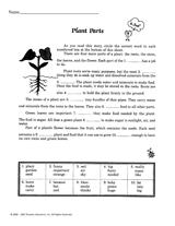 Plant Parts