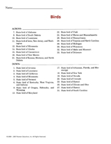 U.S. State Birds