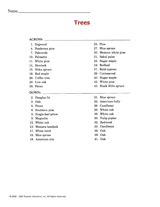U.S. State Trees